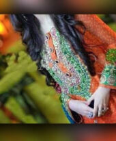 Air Hostess Escort Service Discovery Gardens